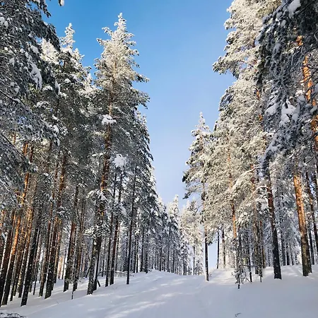 The Zen Den Rokua * Utajärvi