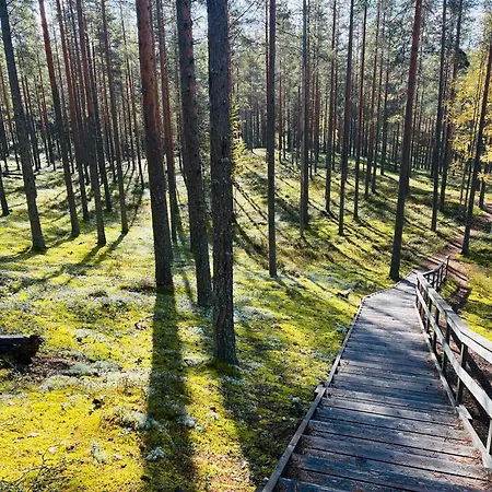 The Zen Den Rokua Utajärvi